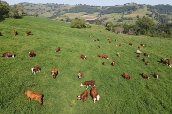 Aratiba promove melhoria genética nos rebanhos de leite e corte com programa de inseminação artificial