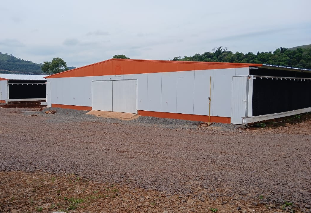 Aratiba amplia capacidade de alojamentos para 84 mil aves com dois novos aviários